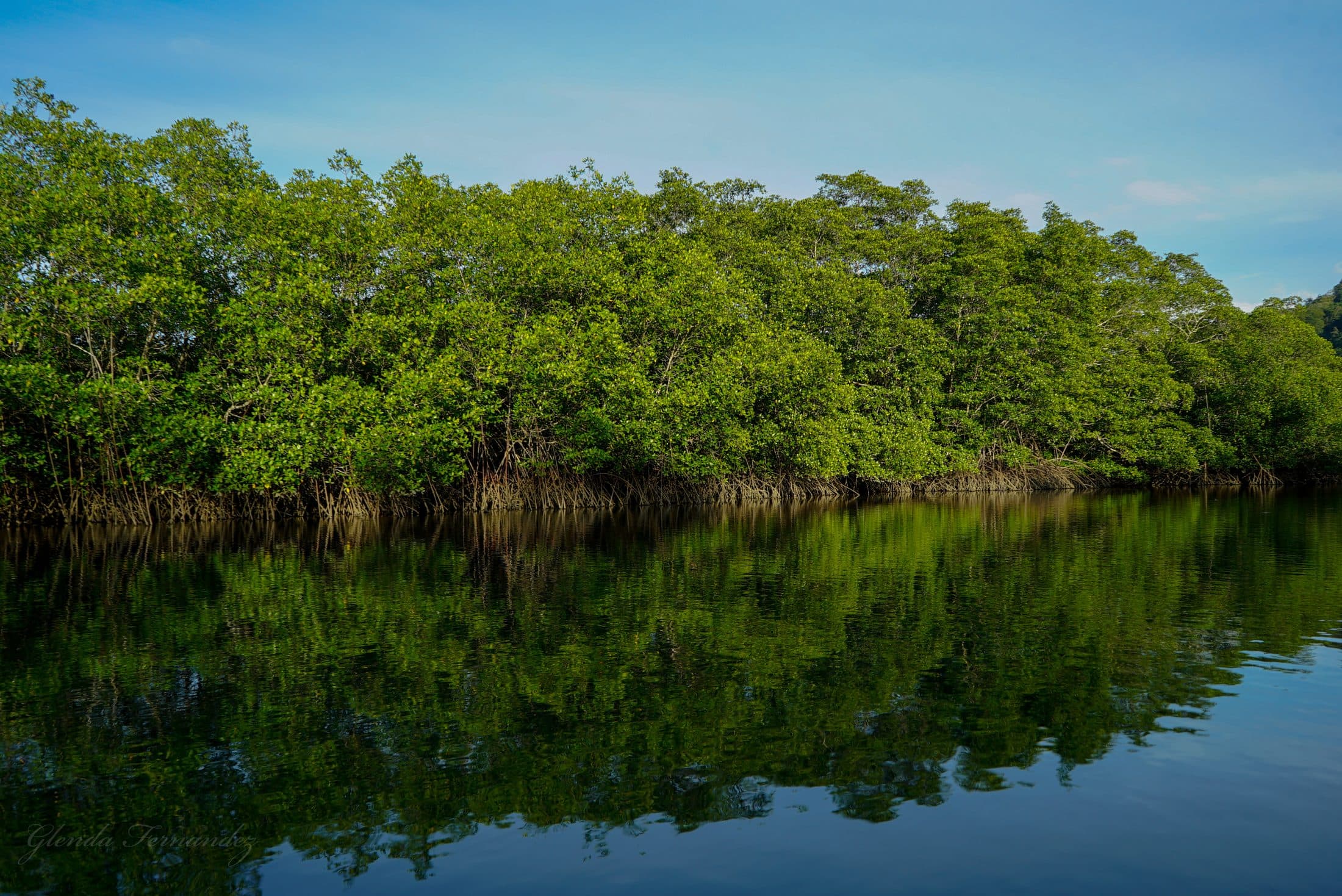 Costa Rica Nicoya Peninsula tour with Tours and More CR
