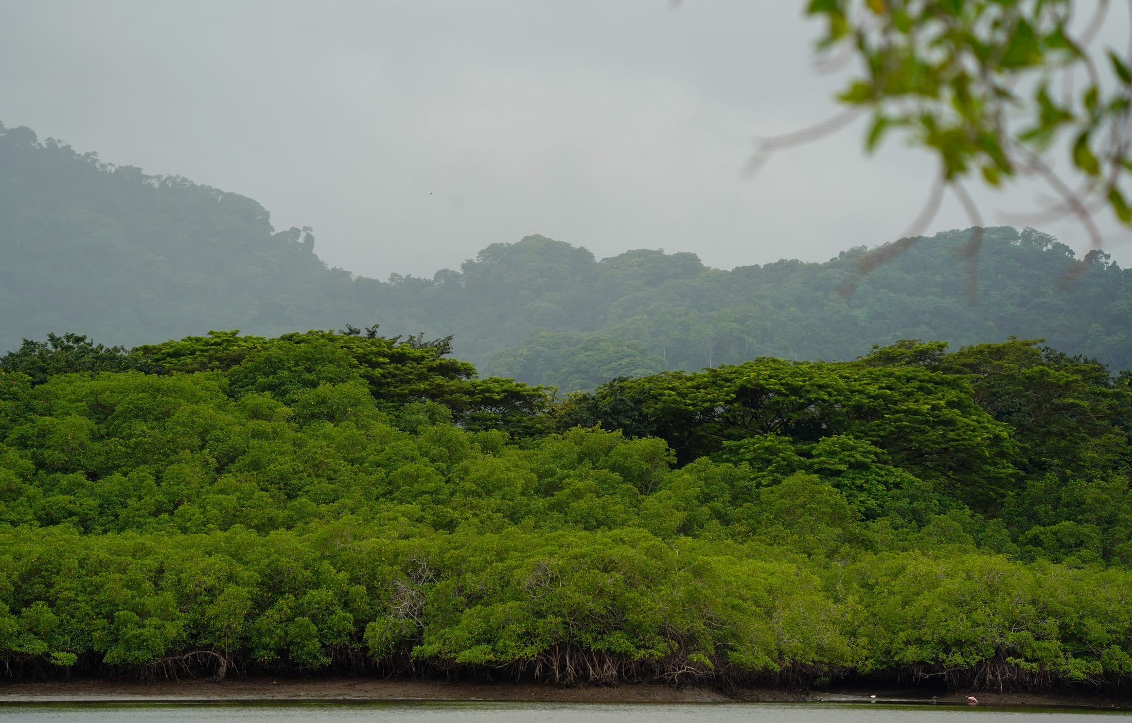 Contact Tours and More CR for Costa Rica adventures